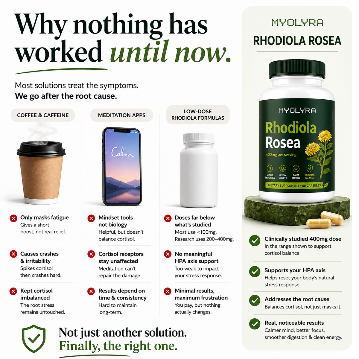 Rhodiola Rosea Capsules (400mg)