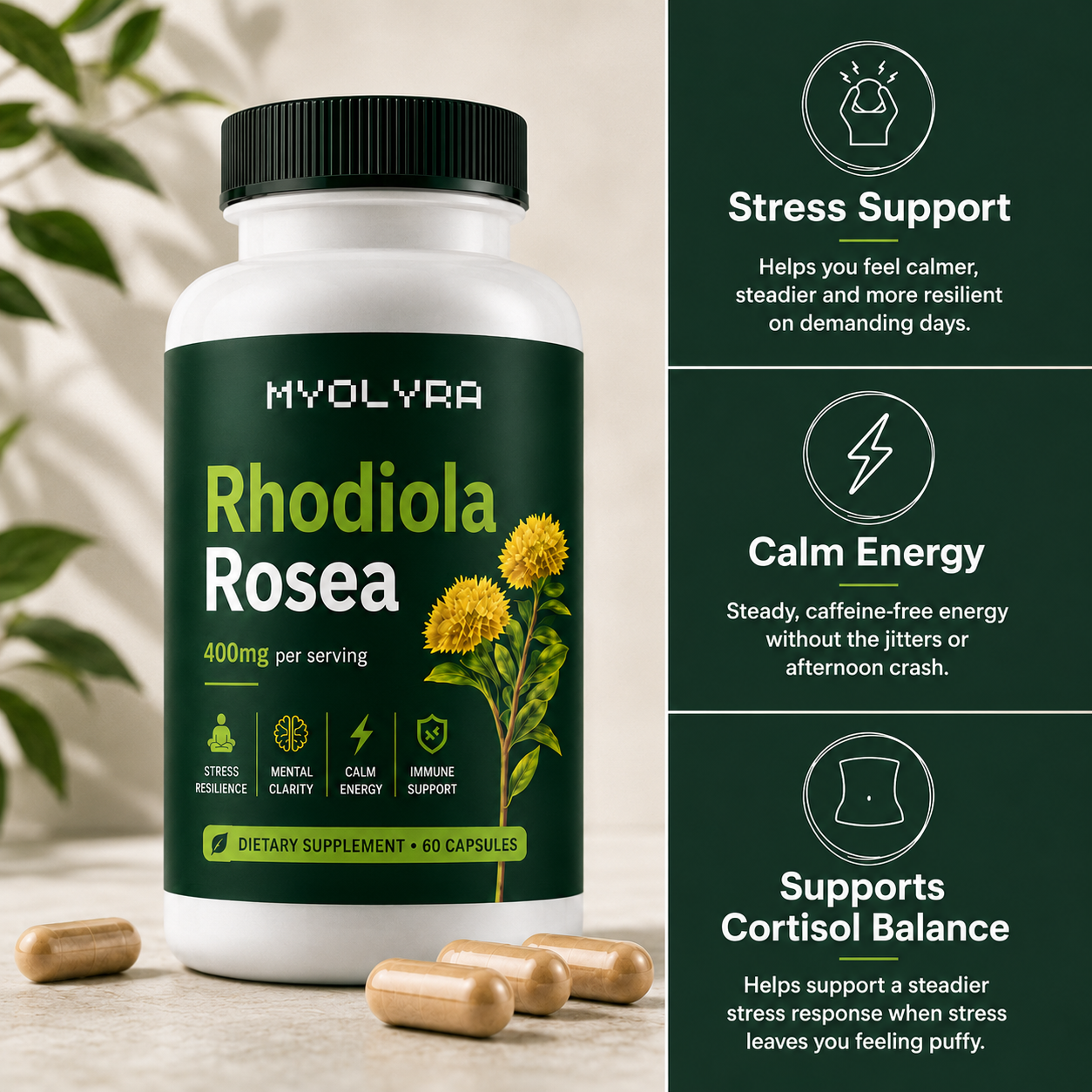 Rhodiola Rosea Capsules (400mg)